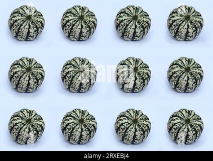 striped green and white pumpkins on white pattern Stock Photo