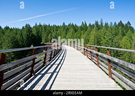 Walkway of the Kinsol Trestle on Vancouver Island, British Columbia, Canada.  Fantastic scenic walking and cycling trail on a converted railway bridge. Stock Photo