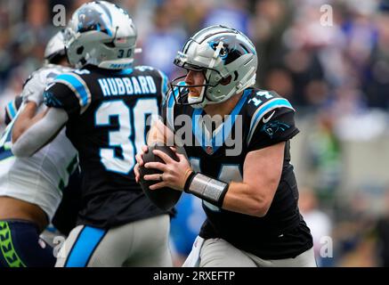 Carolina Panthers quarterback Andy Dalton (14) drops back to pass during an NFL  preseason football game against the Detroit Lions, Friday, Aug. 25, 2023,  in Charlotte, N.C. (AP Photo/Brian Westerholt Stock Photo - Alamy