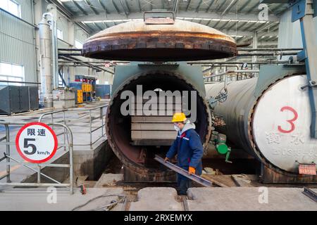 Luannan, China - February 13, 2023: Workers control traction equipment to transport new building materials - calcium silicate boards - from autoclaves Stock Photo