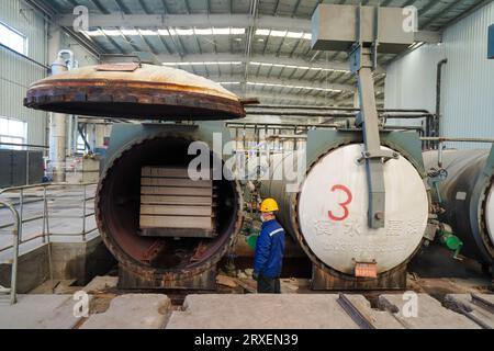 Luannan, China - February 13, 2023: Workers control traction equipment to transport new building materials - calcium silicate boards - from autoclaves Stock Photo