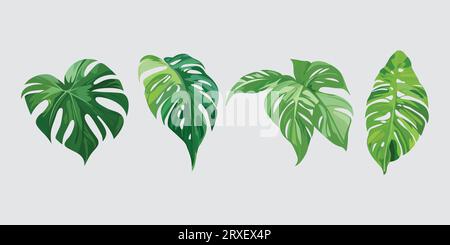 House plants in pots, icon set of tree, garden plant vector Stock Vector