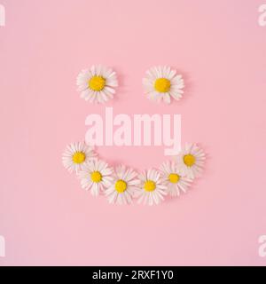 Smiley made of summer daisy flowers on pastel pink background. Minimal creative composition. Flat lay concept. Top of view. Stock Photo
