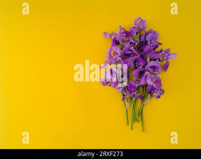 Creative layout made of violet flowers. Flat lay bouquet. Love concept. Flowers aesthetic. Nature composition. Stock Photo