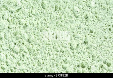 porous organic sponge for washing dishes, texture, background. High quality photo Stock Photo
