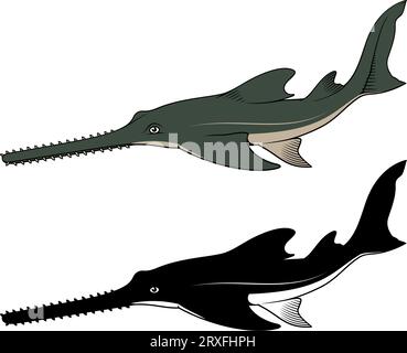 Sawfish. Vector clipart. Color and silhouette versions. Stock Vector