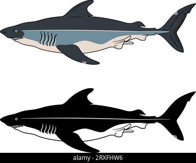 White Shark. Vector clipart. Color version and black silhouette. Stock Vector