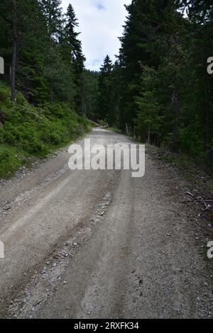 Forest dirt road, route entirely in the woods, after a two-hour walk leads to the top of Mount Luta (Lutterkopf) with a panoramic view of the mountain Stock Photo