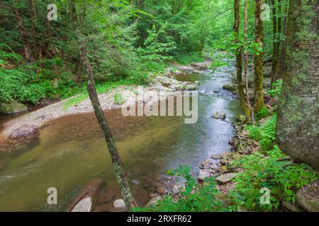 Rapids and waterfalls with lichen covered rocks on Laurel Creek near Cades Cove in the Great Smoky Mountain National Park on the Tennessee side. Stock Photo