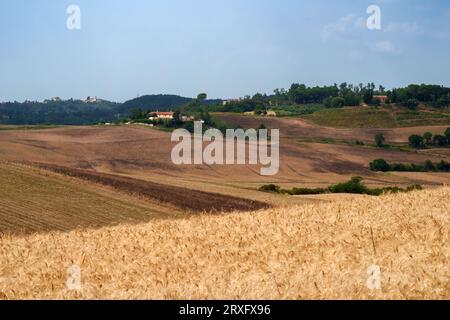 Rural landscape on the hills of Orciano Pisano, Pisa province, Tuscany, Italy at summer Stock Photo