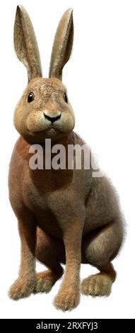 3D rendering of a brown hare isolated on white background Stock Photo