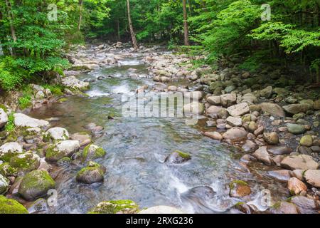 Middle Prong of the Little Pigeon River in the Greenbrier section on the Tennessee side of the Great Smoky Mountains National Park. Stock Photo