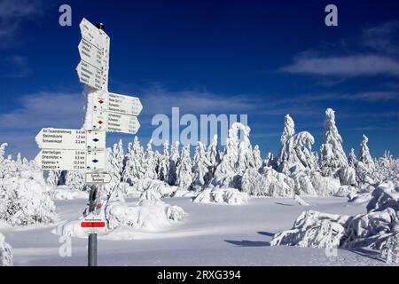 Signpost, hiking trail, in the winter landscape trees, snow-covered, northern Black Forest, Black Forest High Road, Schliffkopf, winter December Stock Photo