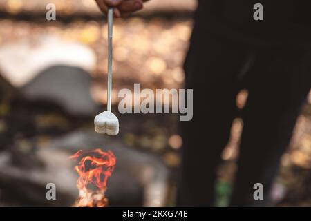 marshmallows in the form of a heart over a fire Stock Photo