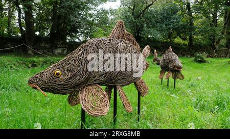 Fish garden statues from woven willow, Cornwall, UK - John Gollop Stock Photo