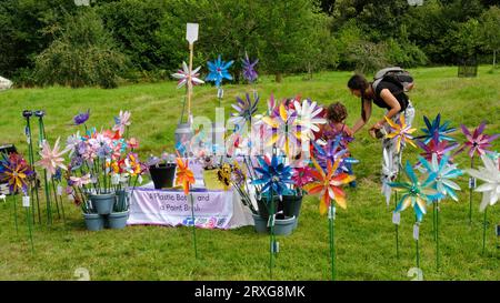 Colourful plastic windmills for sale at a country fete, UK - John Gollop Stock Photo