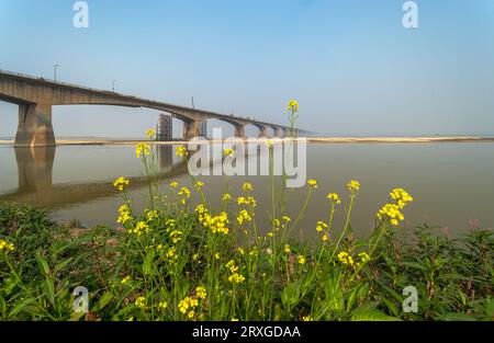 12 18 2014 Mahatma Gandhi Setu on river Ganga Patna, Bihar, India Asia. Stock Photo