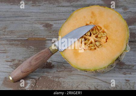 Cantaloupe melon (Cucumis melo) and knife, Fruit knife, Gourd family (Cucurbitaceae), Cantaloupe melon, detachable Stock Photo