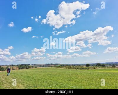 Essex countryside around Hyde Hall, Essex, England. Stock Photo