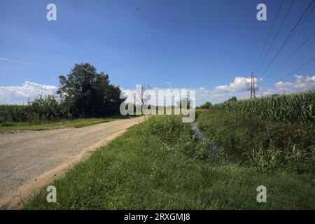 Worn  country road next to a corn field and a grove bordered by an irrigation channel on a sunny day Stock Photo