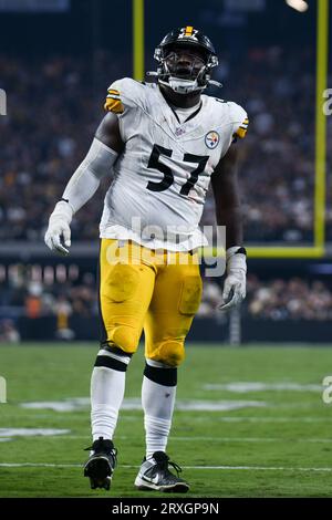 Pittsburgh Steelers defensive tackle Montravius Adams (57) reacts during an  NFL football game, Sunday, Nov. 13, 2022, in Pittsburgh, PA. (AP Photo/Matt  Durisko Stock Photo - Alamy