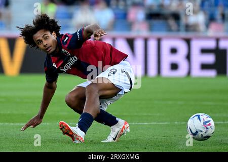 Joshua Zirkzee of Bologna FC looks on during the Serie A football match  between Juventus FC and Bologna FC Stock Photo - Alamy