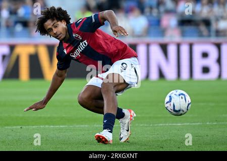 Joshua Zirkzee of Bologna FC looks on during the Serie A football match  between Juventus FC and Bologna FC Stock Photo - Alamy