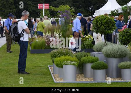 Visitors & trade stands (people view showground exhibitor's display, different herbs in pots) - RHS Flower Show Tatton Park 2023, Cheshire England UK. Stock Photo