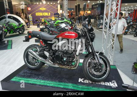 Kawasaki 29 online