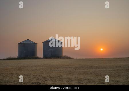 Two grain bins on the vast Alberta prairie at sunset; Alberta, Canada Stock Photo