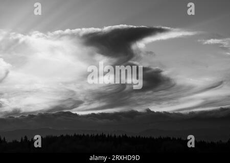 Monochrome of Virga Clouds during a sunset and silhouetted forest; Olympia, Washington, United States of America Stock Photo