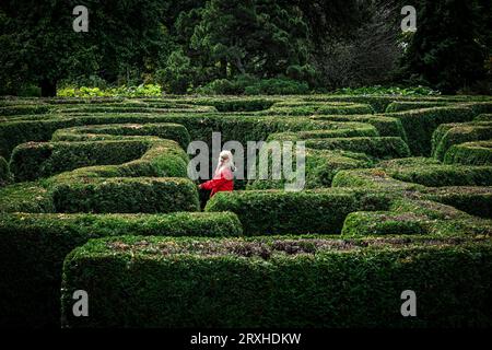 Woman in maze, VanDusen Gardens, Vancouver, British Columbia, Canada Stock Photo
