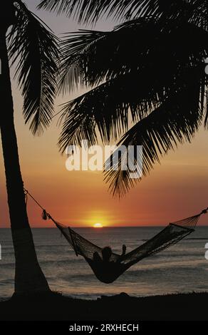 Sunset on beach with silhouetted hammock and palms; Costa Rica Stock Photo