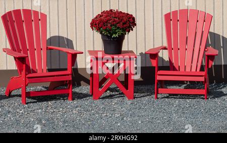 Red Adirondack chairs with flowers on table outside on a sunny day Stock Photo