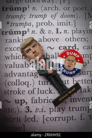Dump Trump - 2024 Republican presidential election USA, dictionary definition Stock Photo