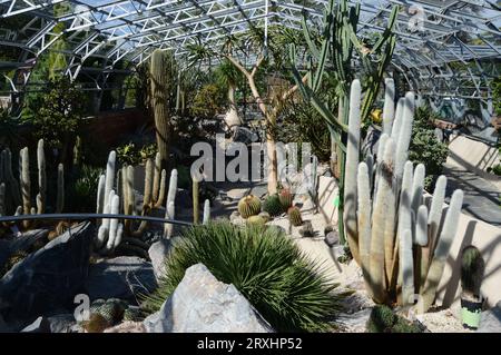 Cactus House at Inverness Botanic Gardens Stock Photo