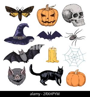 Big set of halloween illustrations. Ink drawing of horror gothic symbols for design. Stock Vector