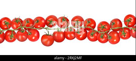 Branch with fresh ripe cherry tomatoes on white background, banner design Stock Photo