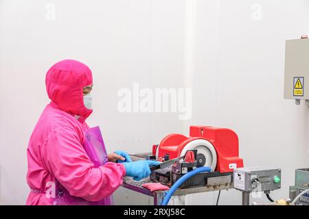 Worker sharpening the knife with a electric sharpener for cut up chicken meat parts. Stock Photo
