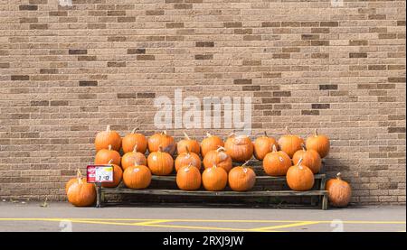 Pumpkins for sale stacked up on a wooden bench outside of a store in Youngsville, Pennsylvania, USA Stock Photo