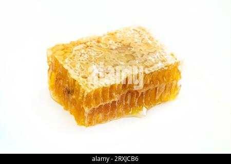 Honeycomb piece. Honey slice isolated on white background. Package design element. Fresh honeycomb close-up Stock Photo