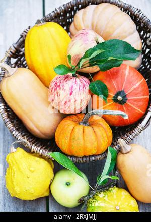 Top view of a wicker basket with different varieties of pumpkins, squashes and apples on a rustic background. Harvesting or Thanksgiving Day concept. Stock Photo
