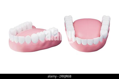 https://l450v.alamy.com/450v/2rxjr6b/healthy-teeth-teeth-treatment-3d-rendering-digital-drawing-2rxjr6b.jpg