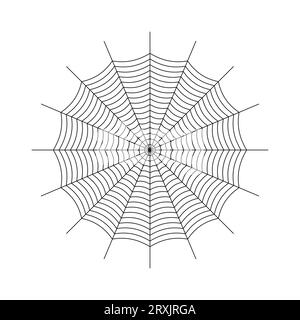 Symmetrical spider web icon, outline style Stock Vector Image & Art - Alamy