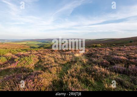Porlock Ridge View of Porlock Common at the top of Porlock Hill in Exmoor Natioanl ...