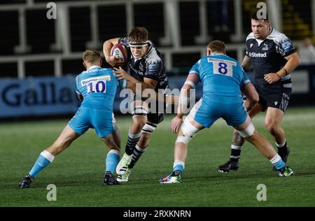 Newcastle, UK. 11th June, 2023. Guy Pepper of Newcastle Falcons in action during the Premiership Cup match between Newcastle Falcons and Sale Sharks at Kingston Park, Newcastle on Friday 22nd September 2023. (Photo by Chris Lishman/MI News/NurPhoto) Credit: NurPhoto SRL/Alamy Live News Stock Photo