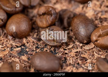 Roasted coffee beans lie together with chocolate crumbled into small pieces, fragrant coffee together with chocolate crumbs Stock Photo