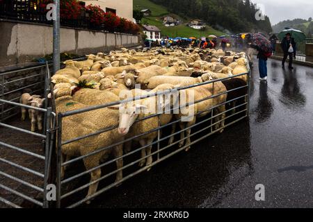 Schafscheid is the celebration after the departure of the sheep from the summer stay on the mountain pasture. It is celebrated every year on a Monday in September in Jaun, Switzerland Stock Photo