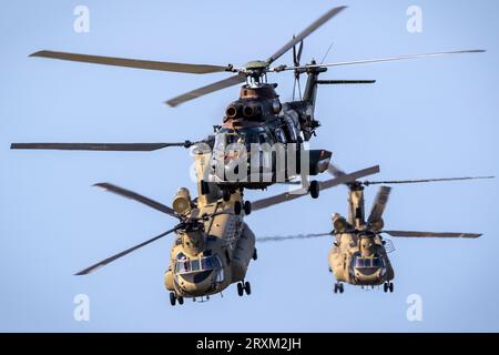 Royal Netherlands Air Force AS532 Cougar and two CH-47F Chinook helicopters taking off. Ede, The Netherlands - September 16, 2023 Stock Photo