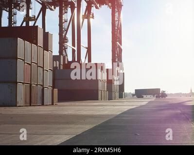 Container stacks at Port of Felixstowe, England Stock Photo